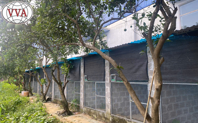 Hình 2: Không gian nuôi mô hình Avi 